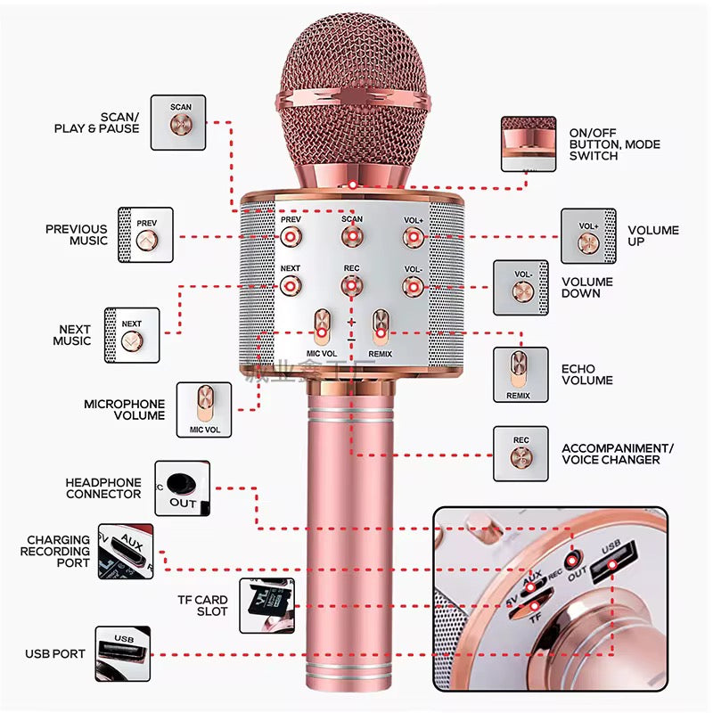 Microphone karaoké